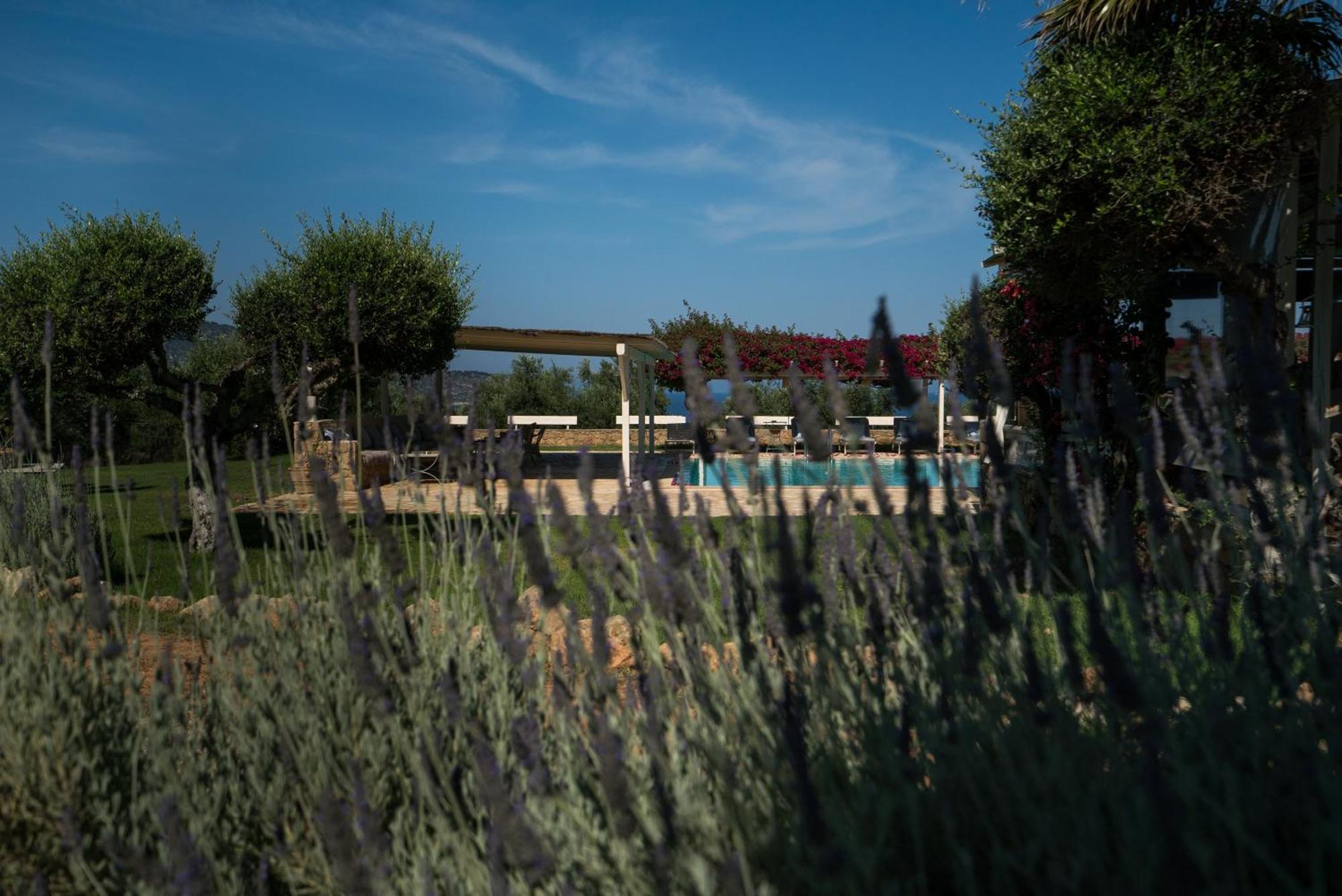 Agrikies Country Retreat Apartment Marathopoli Exterior foto